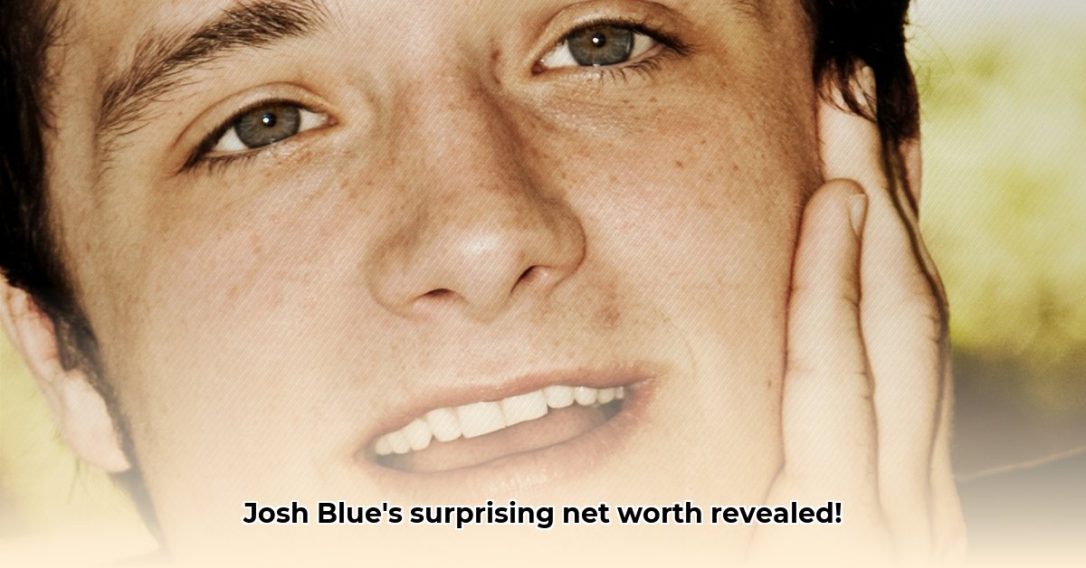 josh-blue-net-worth